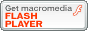 flashPlayer
